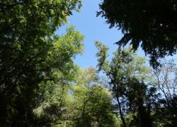 DSC01455